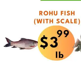 Food World Supermarket Rohu fish (with scale) offer