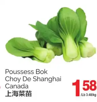 T&T Supermarket Poussess bok choy de shanghai offer