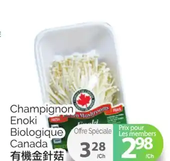 T&T Supermarket Champignon enoki biologique offer