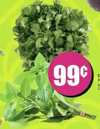 FreshCo Cilantro or Mint Bunch offer
