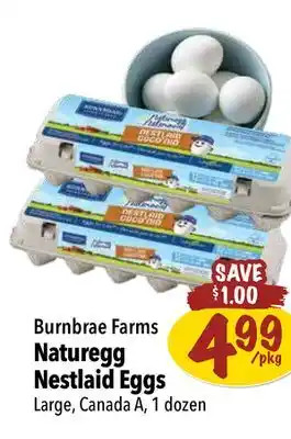 Farm Boy Burnbrae farms naturegg nestlaid eggs offer