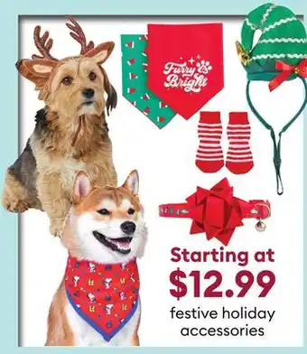 Petsmart Festive holiday accessories offer