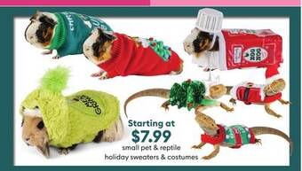 Petsmart Small pet & reptile holiday sweaters & costumes offer