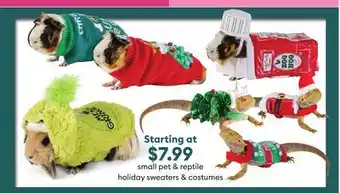 Petsmart Small pet & reptile holiday sweaters & costumes offer