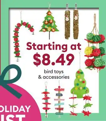 Petsmart Bird toys & accessories offer