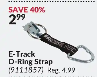 Princess Auto E-track d-ring strap offer
