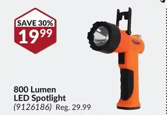 Princess Auto 800 lumen led spotlight offer