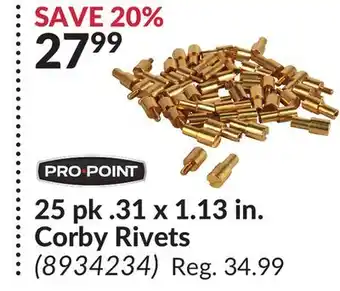 Princess Auto 25 pk. 31 x 1.13 in. corby rivets offer