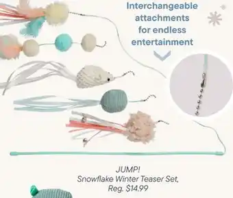 Petvalu Jump! snowflake winter teaser set offer