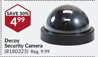 Princess Auto Decoy security camera offer