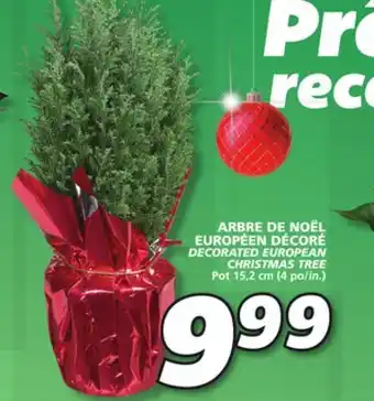 IGA Decorated european christmas tree offer