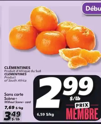 IGA Clementines offer