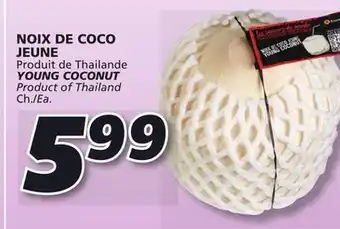 IGA Young coconut offer