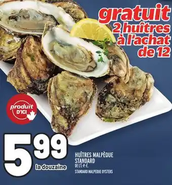 Metro Huîtres malpèque standard | standard malpeque oysters offer