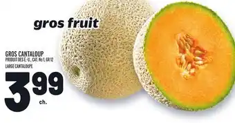 Metro Gros cantaloup | large cantaloupe offer