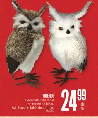 Jean Coutu Yuletide owl shapped table decoration offer