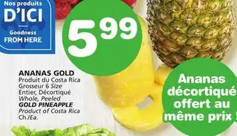 Marches Tradition Gold pineapple offer