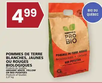 Rachelle-Bery Grocery Organic white, yellow or red potatoes offer