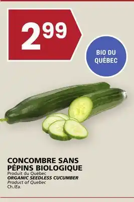 Rachelle-Bery Grocery Organic seedless cucumber offer