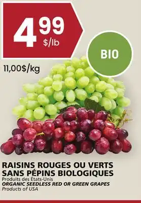 Rachelle-Bery Grocery Organic seedless red or green grapes offer