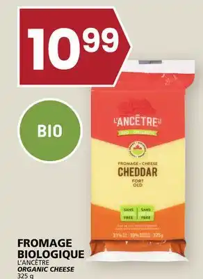 Rachelle-Bery Grocery L'ancêtre organic cheese offer