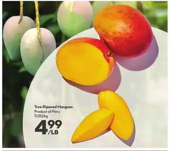 Longo's Tree-ripened mangoes offer