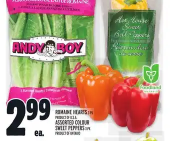 Metro Romaine hearts offer