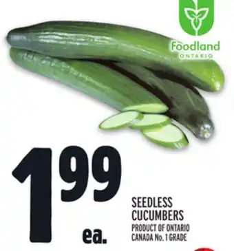 Metro Seedless cucumbers offer