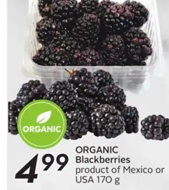 Sobeys Organic blackberries offer