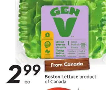 Sobeys Boston lettuce offer