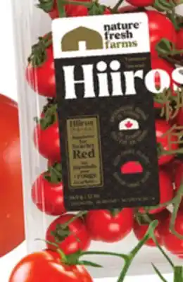 Sobeys Cherry tomatoes on the vine offer