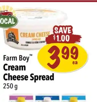 Farm Boy Farm boy cream cheese spread offer