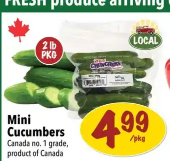 Farm Boy Mini cucumbers offer