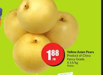 Chalo FreshCo Yellow asian pears product of china fancy grade 4.14/kg offer