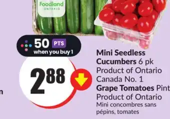 Chalo FreshCo Mini seedless cucumbers 6 pk product of ontario canada no. 1 grape tomatoes pint product of ontario offer