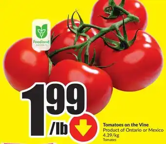 Chalo FreshCo Tomatoes on the vine product of ontario or mexico offer