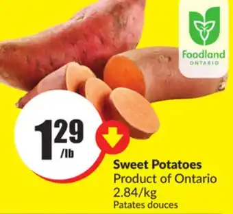 Chalo FreshCo Sweet potatoes product of ontario 2.84/kg offer