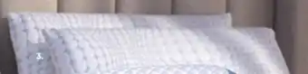Sleep Country Bio-soy pillow offer