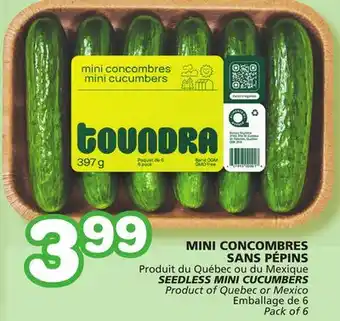 Marches Tradition Seedless mini cucumbers offer