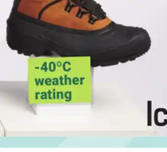 Giant Tiger Icicles men's winter boots offer