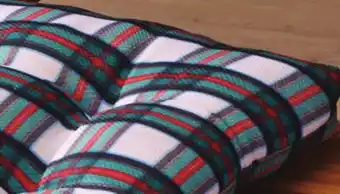 Giant Tiger Chair pad offer