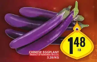 Food Basics Chinese eggplant offer