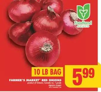 No Frills Farmer's market red onions, 10 lb bag offer