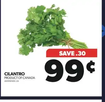 Real Canadian Superstore Cilantro offer