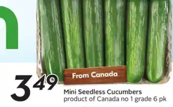 Sobeys Mini seedless cucumbers offer