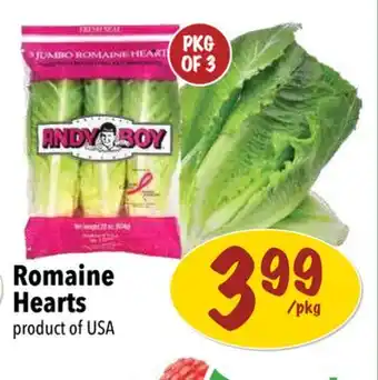 Farm Boy Romaine hearts offer