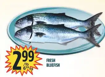 Marché Adonis Fresh bluefish offer