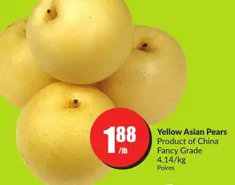FreshCo Yellow asian pears product of china fancy grade 4.14/kg offer