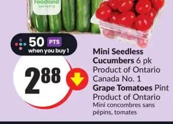 FreshCo Mini seedless cucumbers 6 pk product of ontario canada no. 1, grape tomatoes pint product of ontario offer