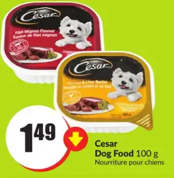 FreshCo Cesar dog food 100 g offer